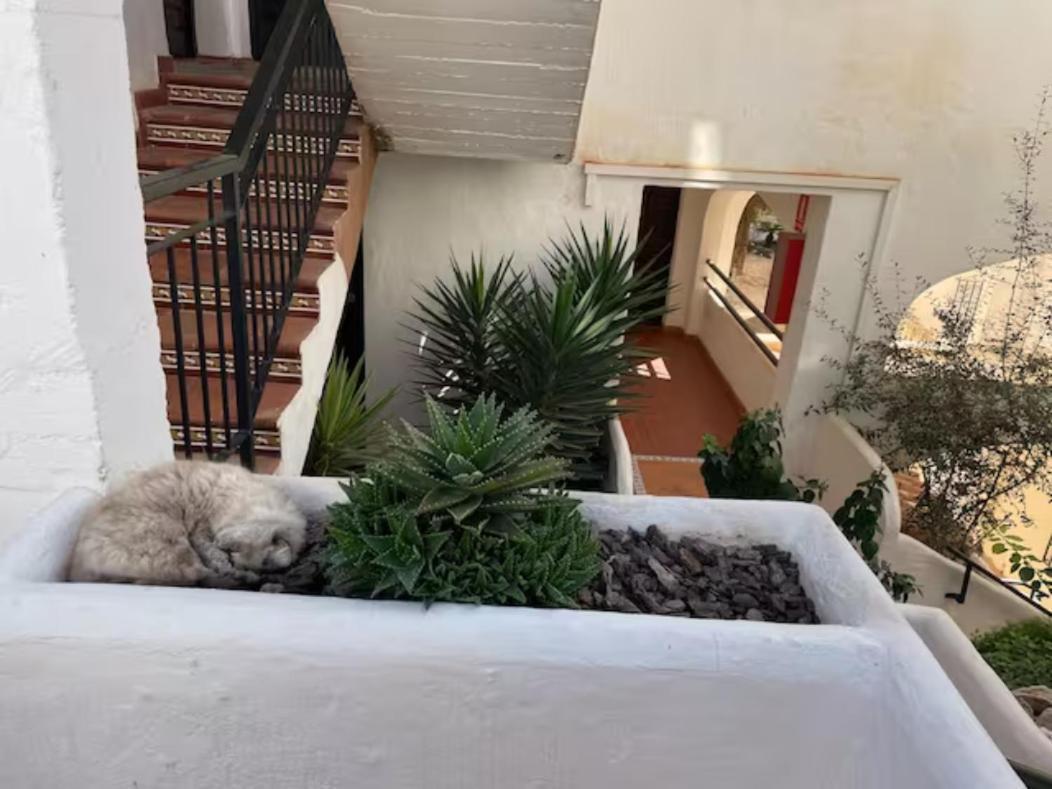 Pueblo Evita Apartment In Exclusive Holiday Complex Benalmádena Εξωτερικό φωτογραφία